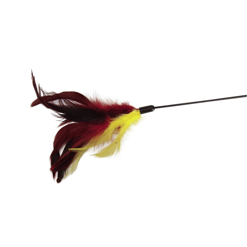 Camon Cannetta con piume vari colori