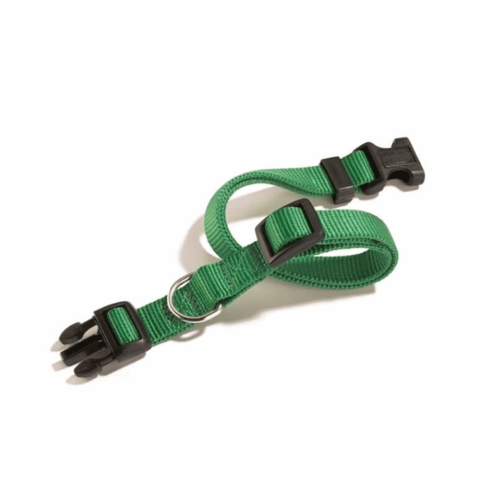 Collare a sgancio verde - happy4pets.it