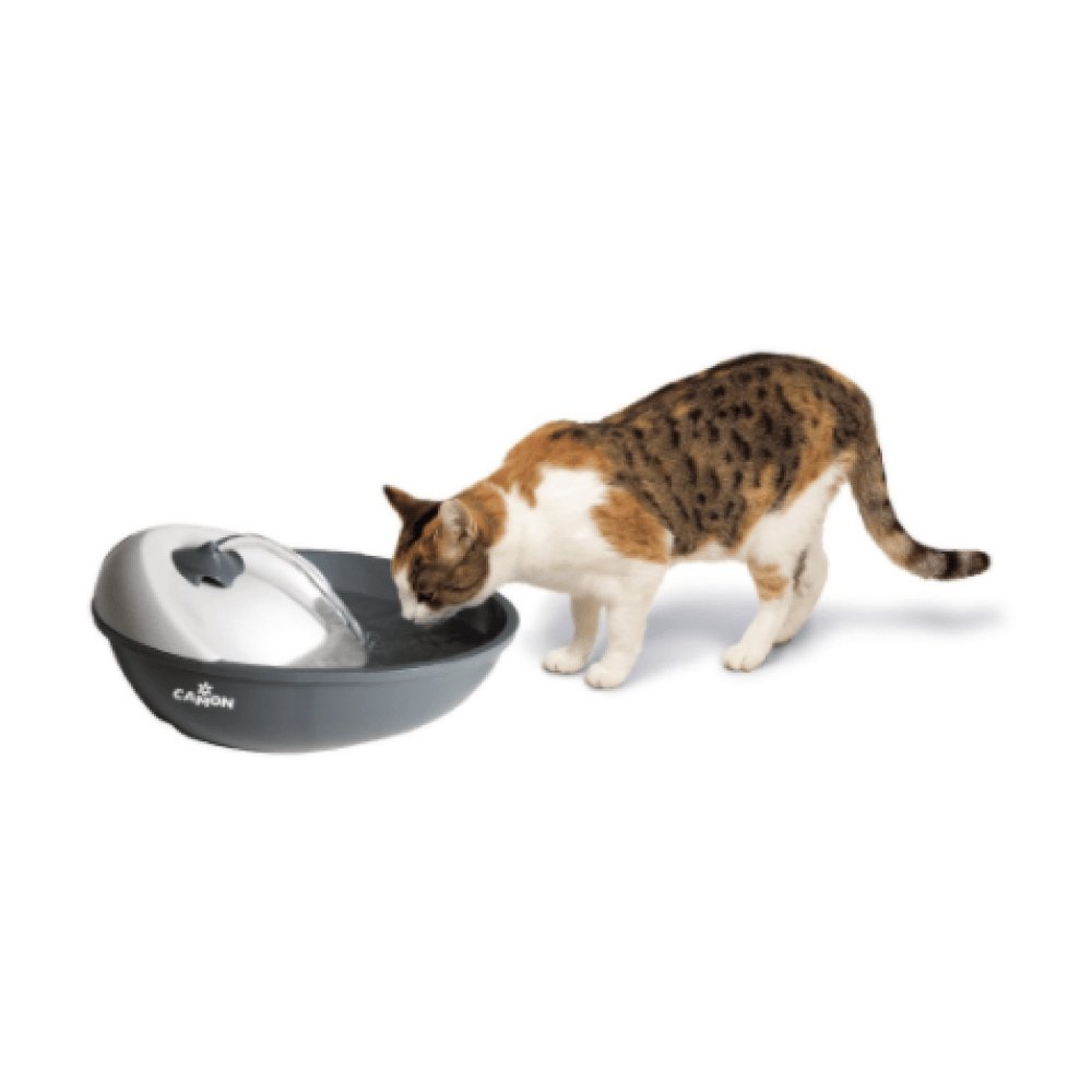 Camon Fontanella automatica e filtri - happy4pets.it