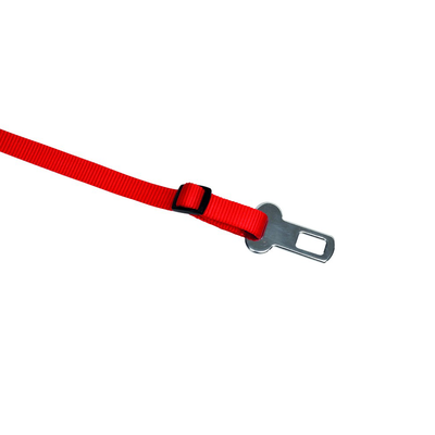 Camon Guinzaglio di sicurezza