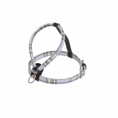 Camon Pettorina Chéri scozzese azzurra - happy4pets.it