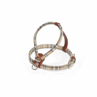 Camon Pettorina Chéri scozzese marrone - happy4pets.it