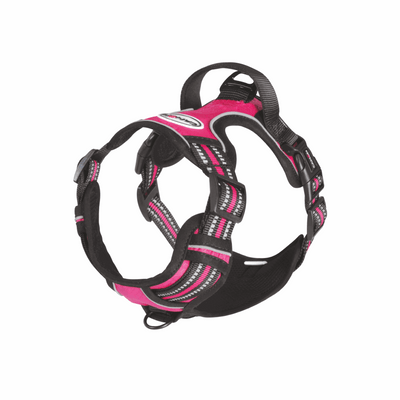 Pettorina tecnica fucsia - happy4pets.it