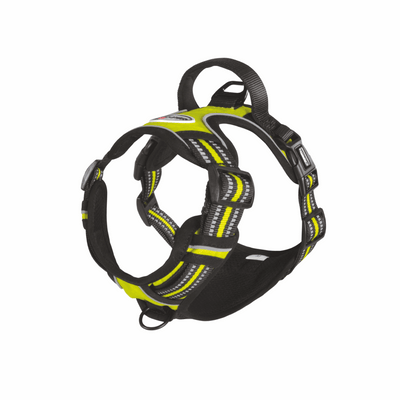 Pettorina tecnica gialla - happy4pets.it