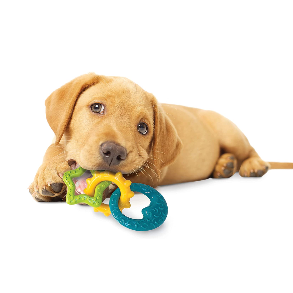 Nylabone Anelli da dentizione
