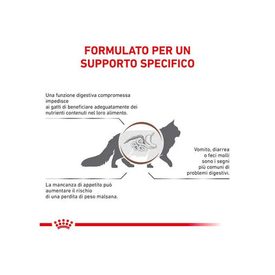 Royal Canin Cat Gastrointestinal - happy4pets.it