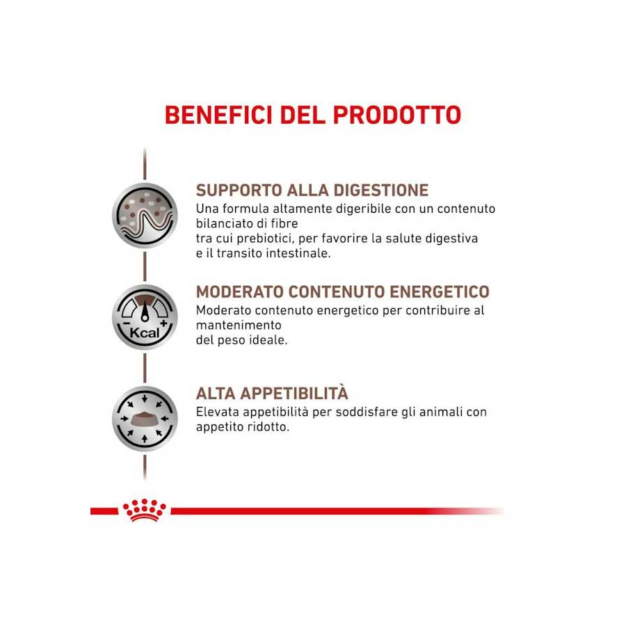 Royal Canin Cat Gastrointestinal MC - happy4pets.it