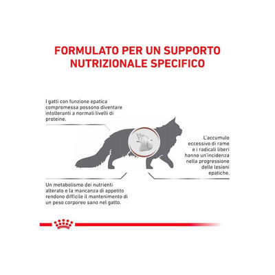 Royal Canin Cat Hepatic 2 kg - happy4pets.it