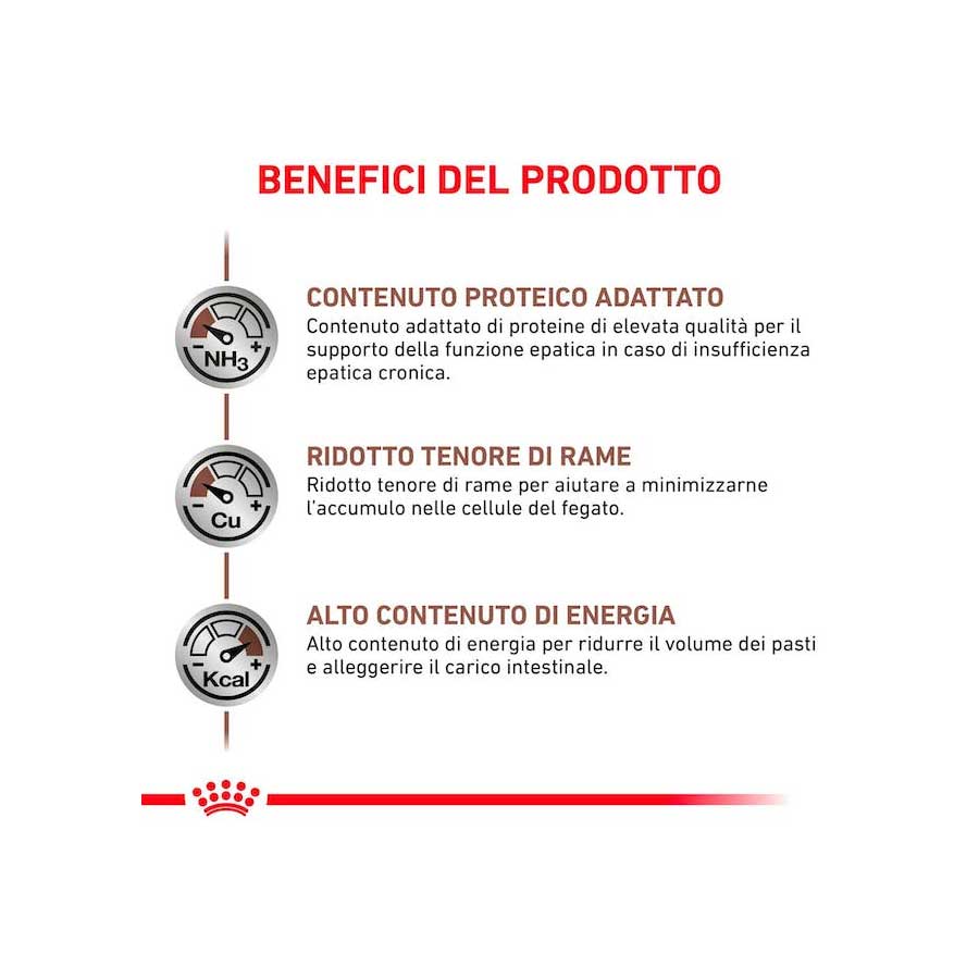 Royal Canin Cat Hepatic 2 kg - happy4pets.it