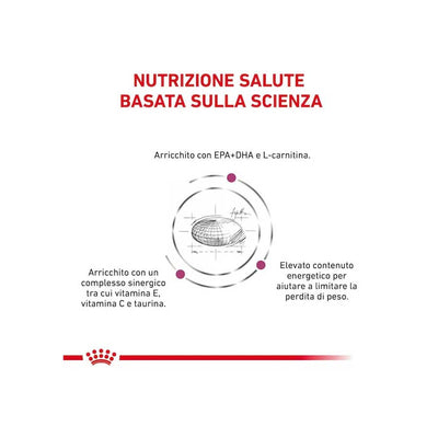 Royal Canin Cardiac 2 kg - happy4pets.it