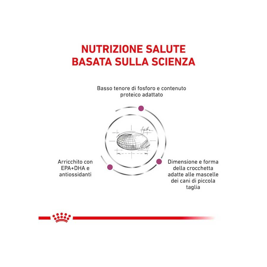 Royal Canin Renal Small 500 g