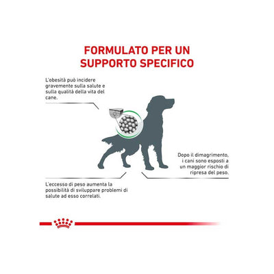 Royal Canin Satiety WM - happy4pets.it