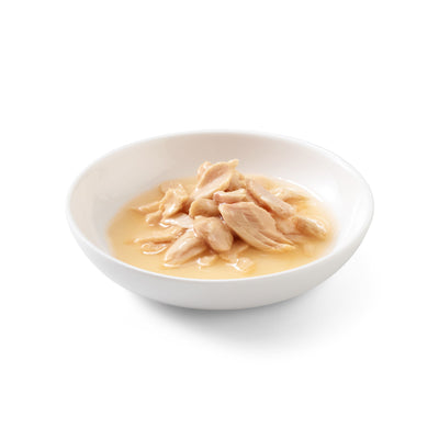 Schesir Cat Salmone naturale brodo 85g