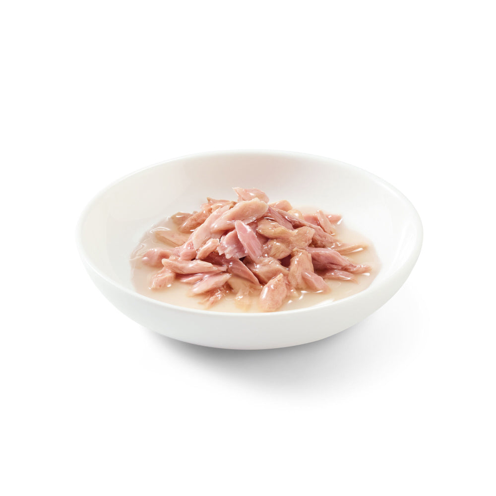 Schesir Cat Tonnetto naturale 85 g
