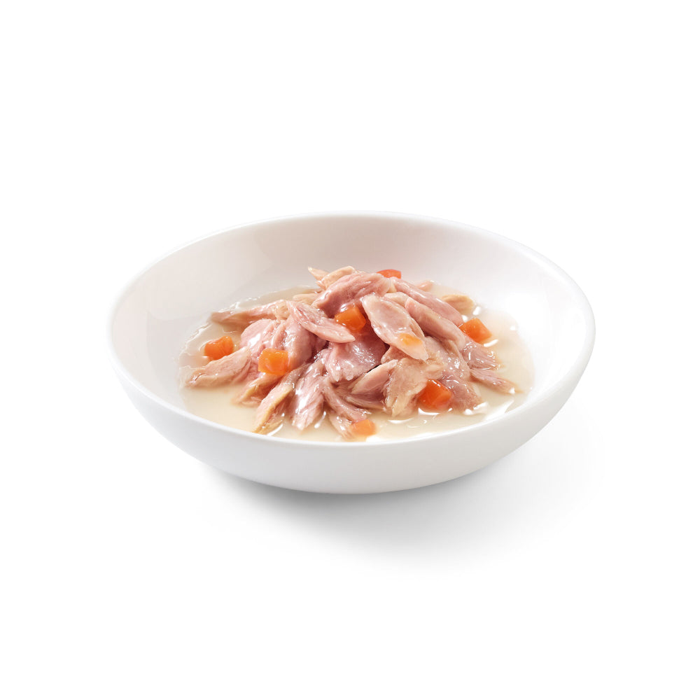 Schesir Cat Tonnetto carota 70 g