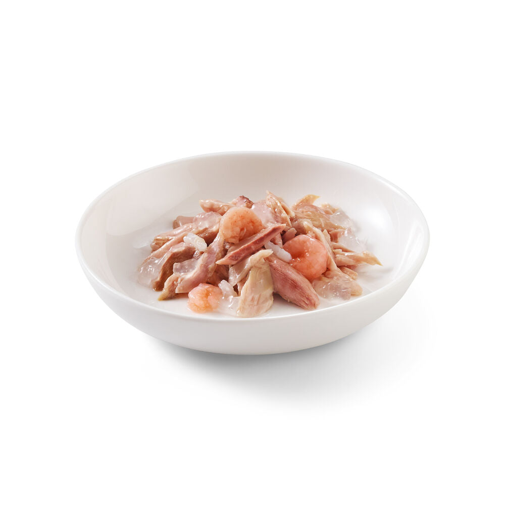 Schesir Cat Tonnetto gamberetti 6x50 g