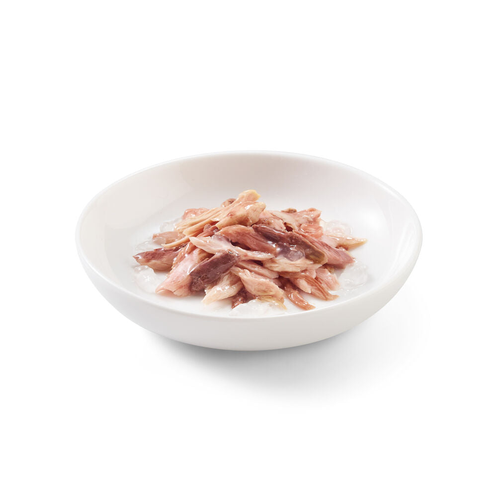 Schesir Cat Tonnetto manzo 6x50 g