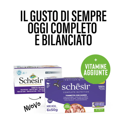 Schesir Cat Tonnetto manzo jelly 6x50g