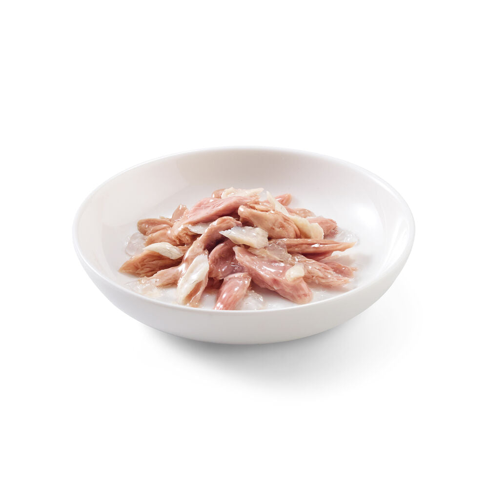 Schesir Cat Tonnetto orata 6x50 g
