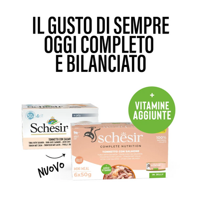 Schesir Cat Tonnetto salmone jelly 6x50g
