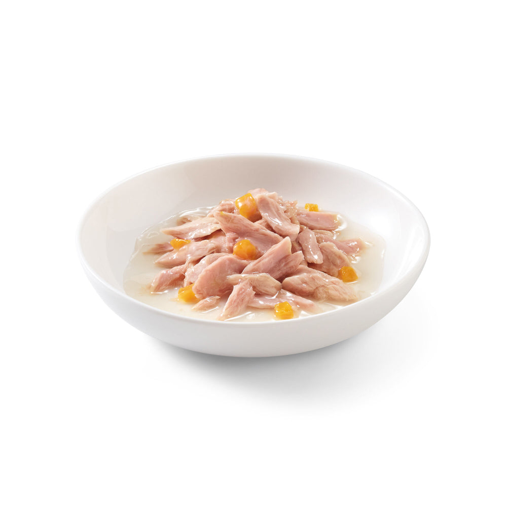 Schesir Cat Tonnetto zucca 70 g
