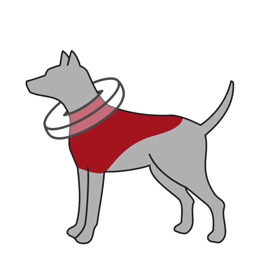 Trixie Collare gonfiabile - happy4pets.it