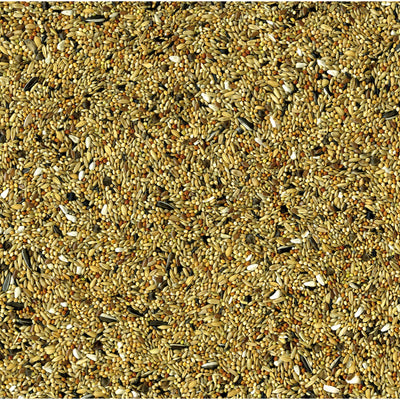 Vadigran Original Calopsite e parrocchetti