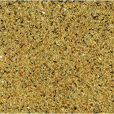 Vadigran Original Cocorite