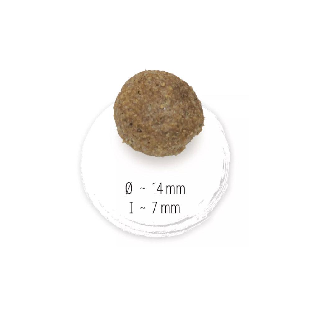 Happy Dog NaturCroq Junior 15 kg - happy4pets.it