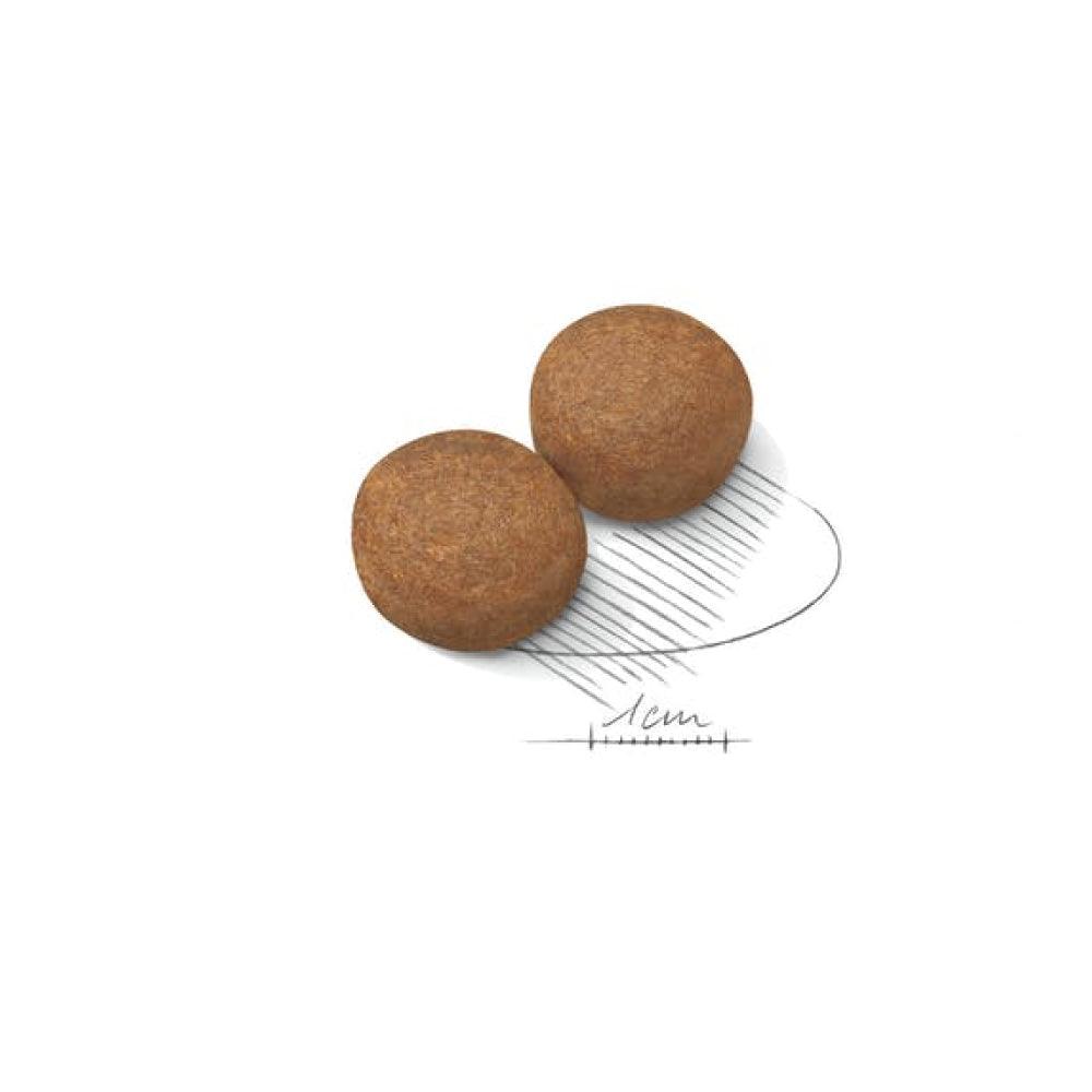 Royal Canin Maxi Adult 15kg - happy4pets.it