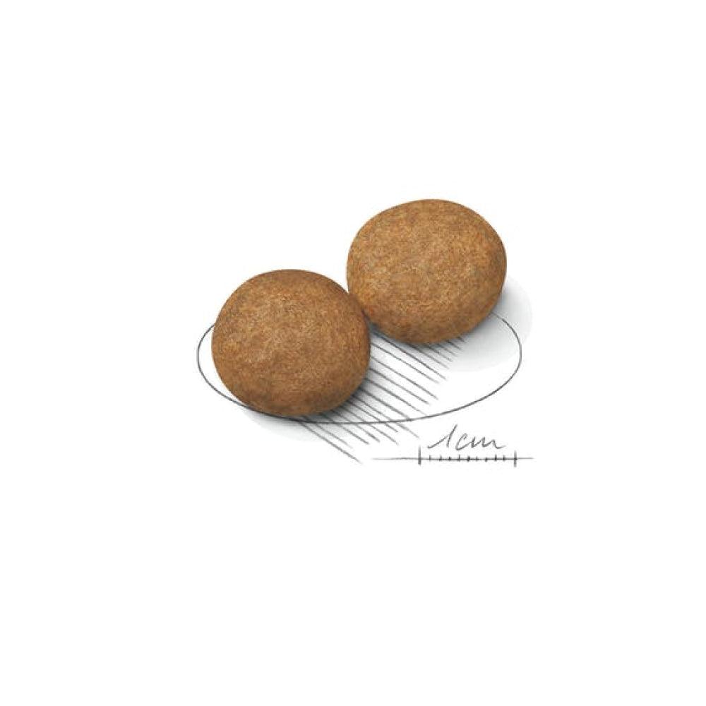 Royal Canin Medium Adult 10kg - happy4pets.it