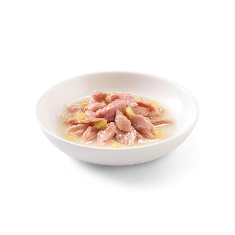Schesir Cat Tonnetto mango 75 g - happy4pets.it