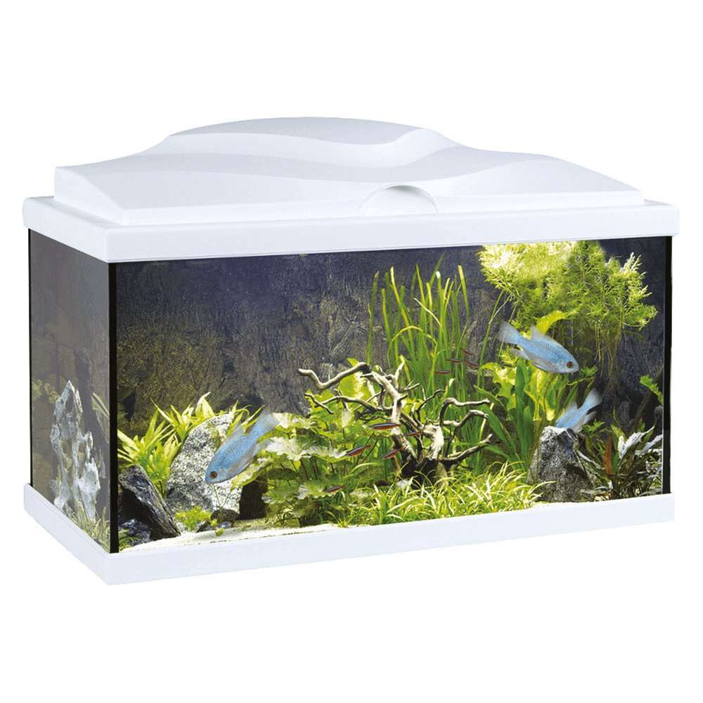 Askoll Acquario Aqua 60 LED - happy4pets.it 