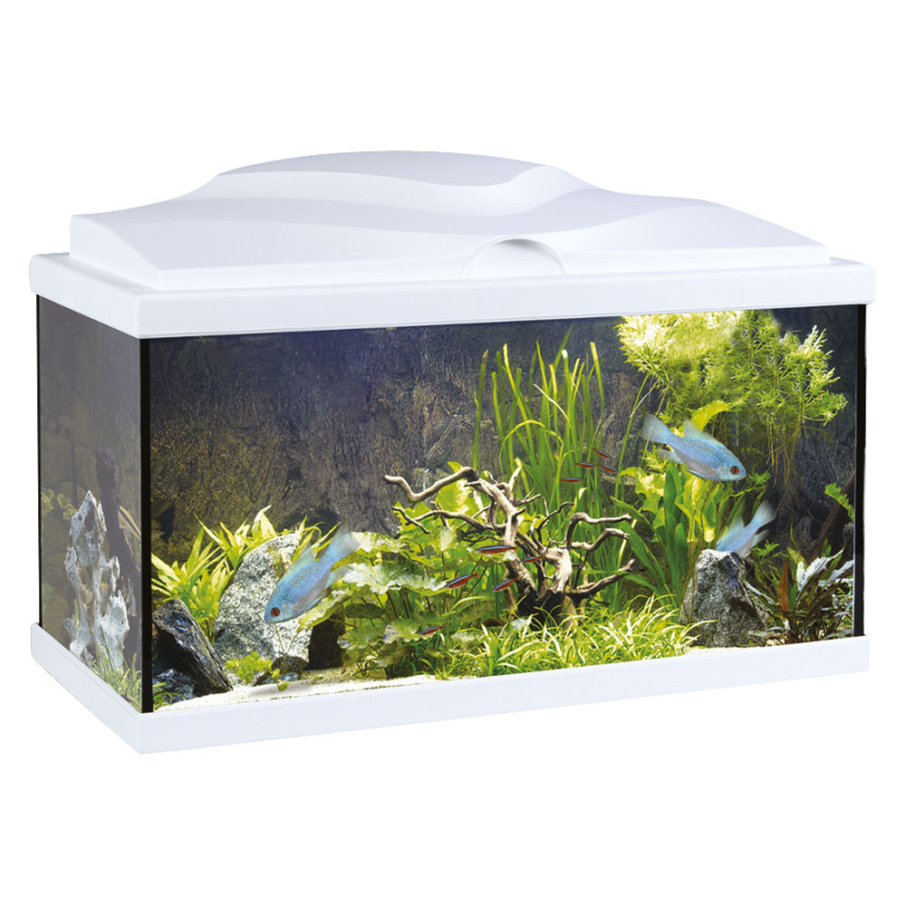 Askoll Acquario Aqua 60 LED