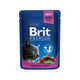 Brit Premium Pollo tacchino 100g
