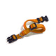 Collare a sgancio arancione - happy4pets.it 