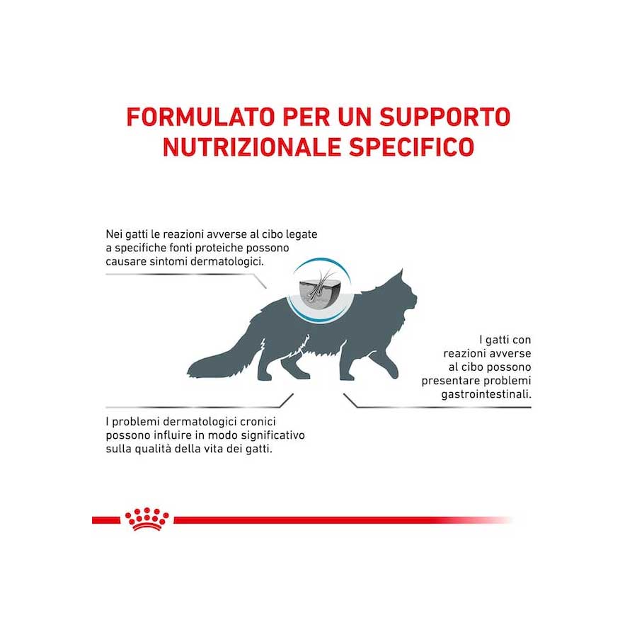 Royal Canin Cat Hypoallergenic - happy4pets.it