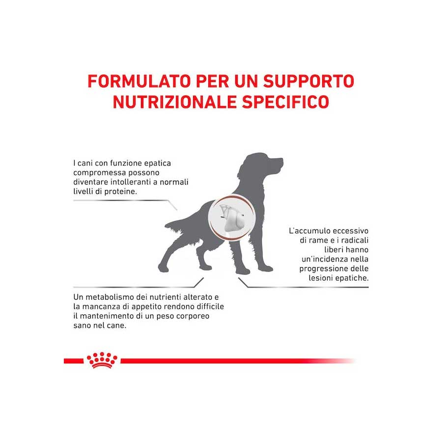 Royal Canin Hepatic 1,5 kg - happy4pets.it 