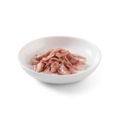 Schesir Cat Tonnetto 6x50 g