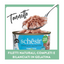 Schesir Cat Tonnetto jelly 6x50g