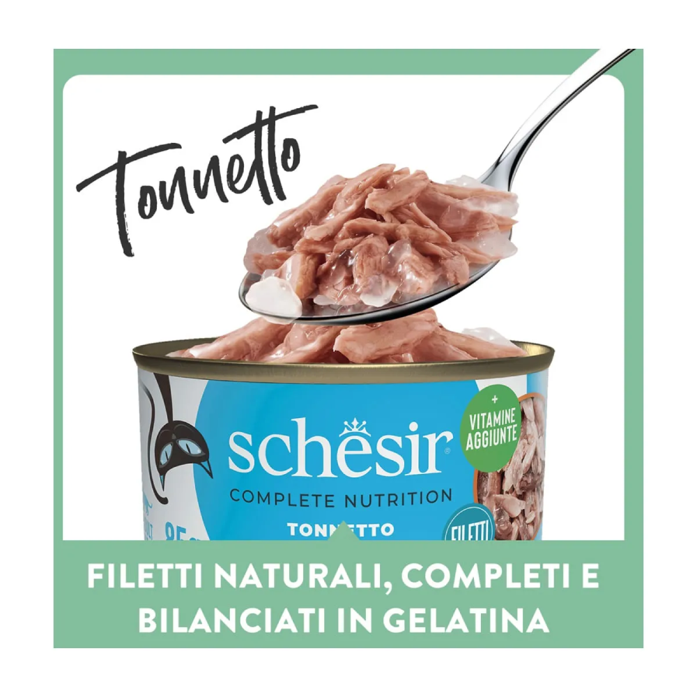 Schesir Cat Tonnetto jelly 6x50g