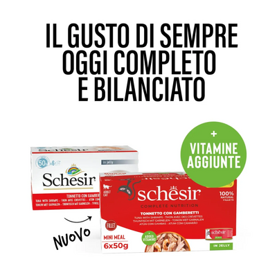 Schesir Cat Tonnetto gamberetti jelly 6x50g