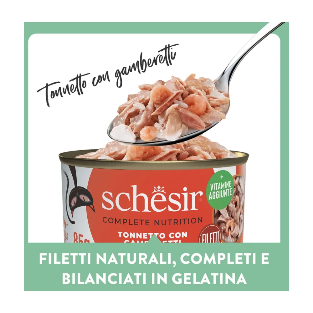 Schesir Cat Tonnetto gamberetti jelly 6x50g
