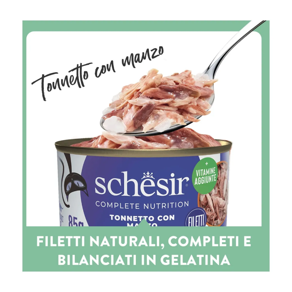 Schesir Cat Tonnetto manzo jelly 6x50g
