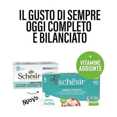 Schesir Cat Tonnetto orata jelly 6x50g