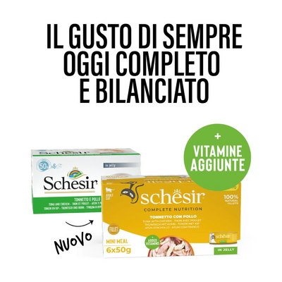 Schesir Cat Tonnetto pollo jelly 6x50g