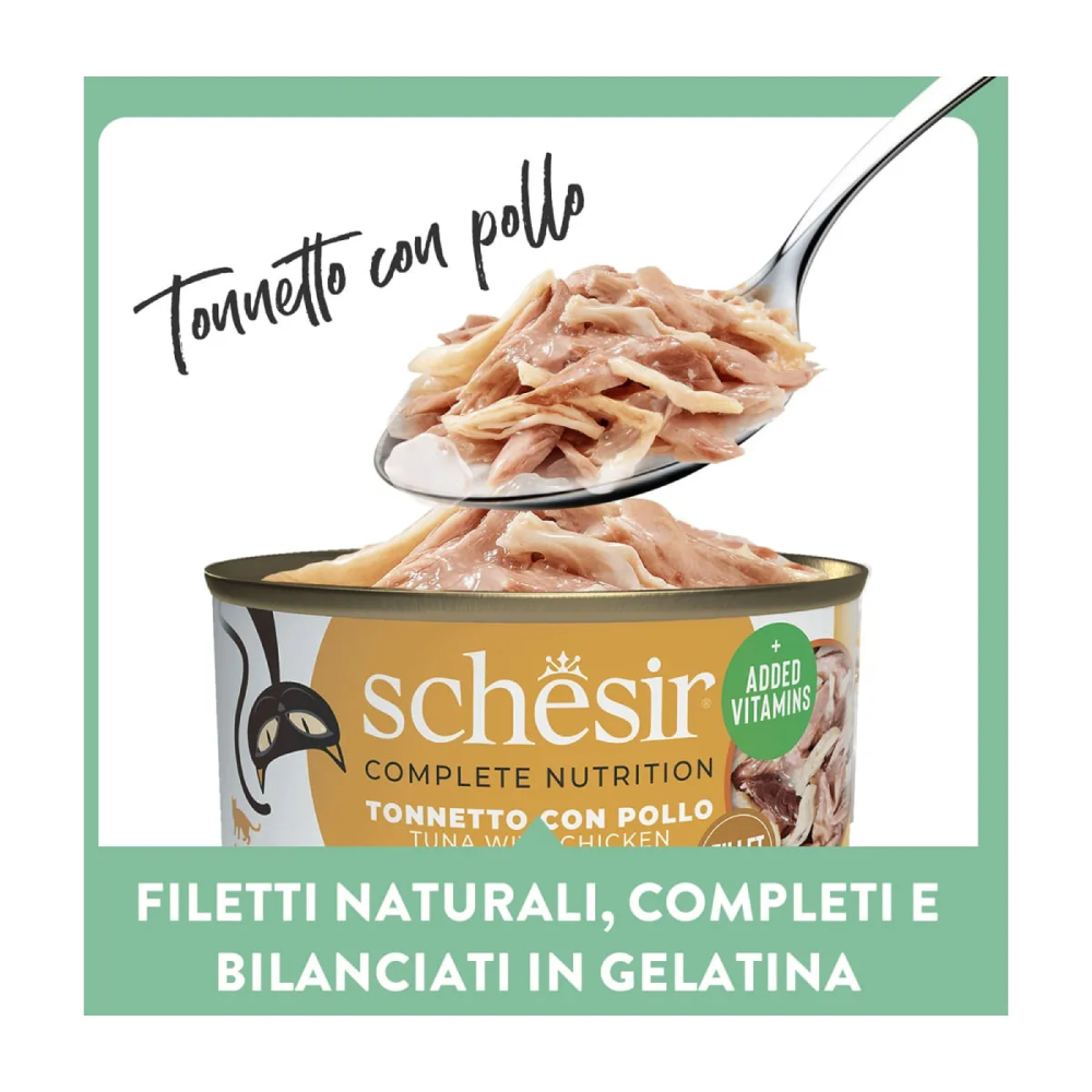 Schesir Cat Tonnetto pollo jelly 6x50g