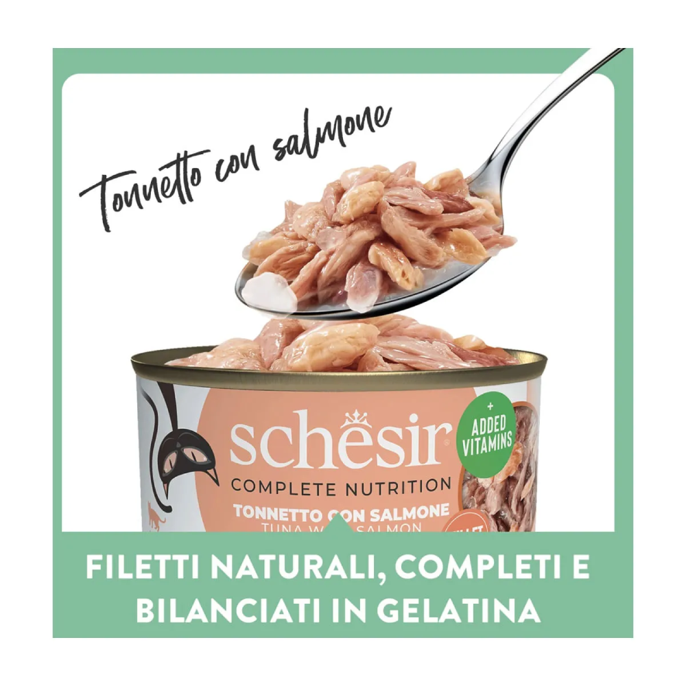 Schesir Cat Tonnetto salmone jelly 6x50g