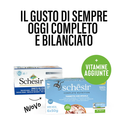 Schesir Cat Tonnetto spigola jelly 6x50g