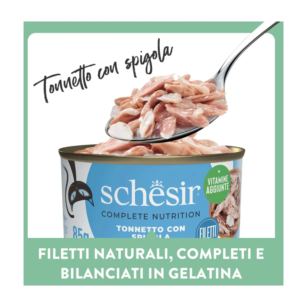 Schesir Cat Tonnetto spigola jelly 6x50g